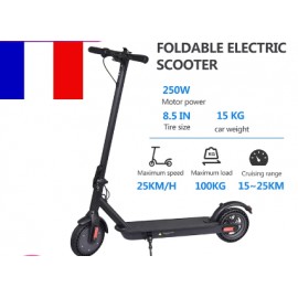 Trottinette électrique pliable, 250W