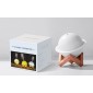 New Moon Humidifier Beautiful Planet Diffuser