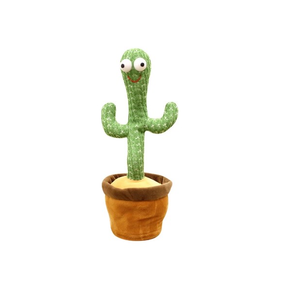 cactus-jouet-%C3%A9lectrique.jpg