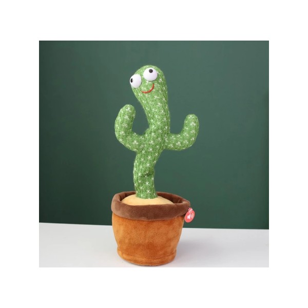 cactus-jouet-%C3%A9lectrique.jpg