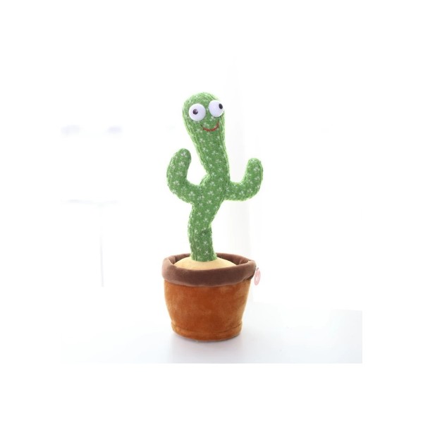 cactus-jouet-%C3%A9lectrique.jpg