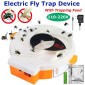 automatic flytrap